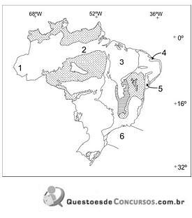 Imagem 002.jpg