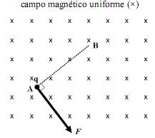 imagem-006.jpg