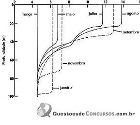 imagem-001.jpg