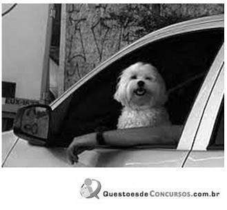 imagem-004.jpg