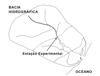 Imagem da questão