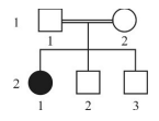 Captura_de tela 2026-03-12 143911.png 145×111