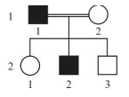 Captura_de tela 2026-03-12 143915.png 145×109