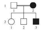 Captura_de tela 2026-03-12 143925.png 155×112