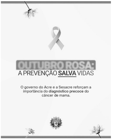 Captura_de tela 2026-03-12 132928.png (395×481)