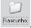 Imagem 010.jpg