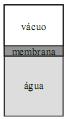 Imagem 008.jpg