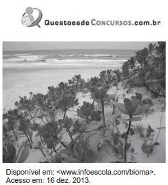 imagem-006.jpg