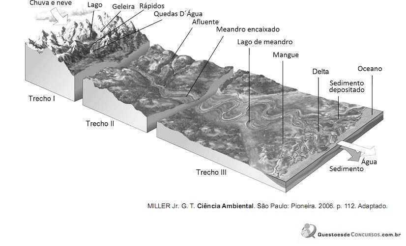 imagem-009.jpg