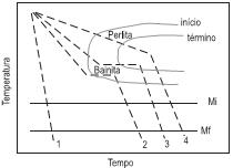 imagem-004.jpg