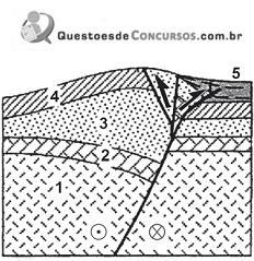 imagem-005.jpg