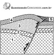 imagem-003.jpg