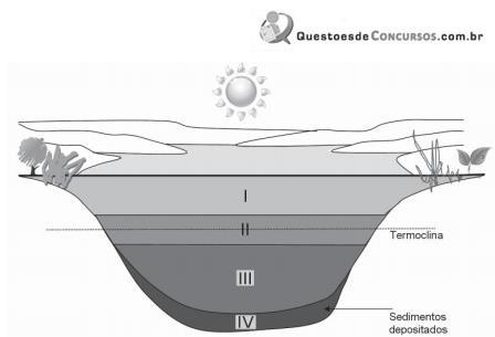 imagem-005.jpg