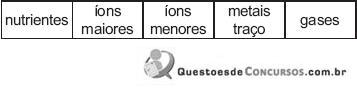 Imagem 032.jpg