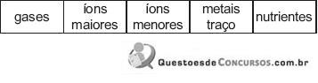 Imagem 034.jpg