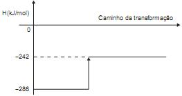 Imagem 027.jpg