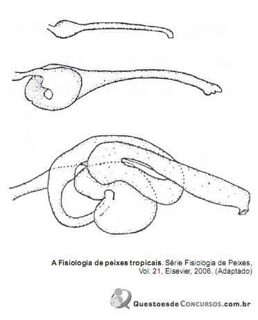 Imagem 003.jpg