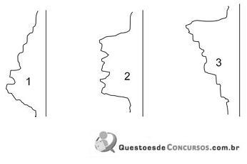 Imagem 003.jpg