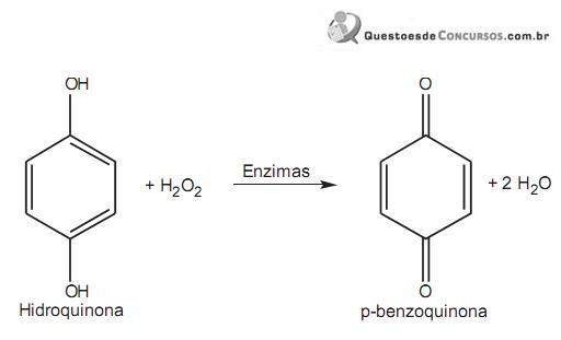 Imagem 031.jpg