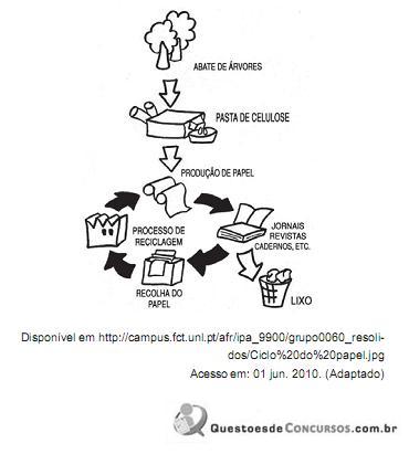 Imagem 006.jpg