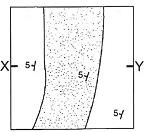 imagem-008.jpg