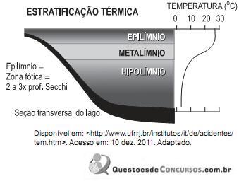 imagem-006.jpg