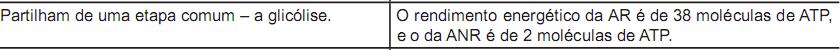 Imagem 031.jpg