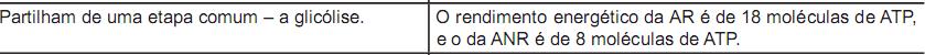 Imagem 032.jpg