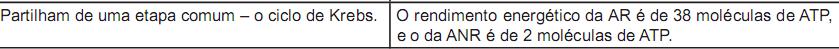 Imagem 034.jpg