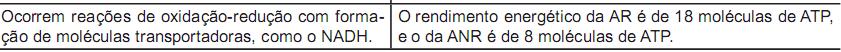 Imagem 035.jpg