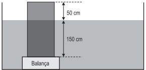 imagem-029.jpg