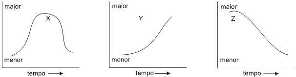 Imagem 002.jpg