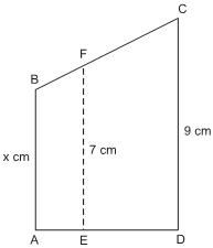 imagem-043.jpg