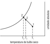 imagem-003.jpg