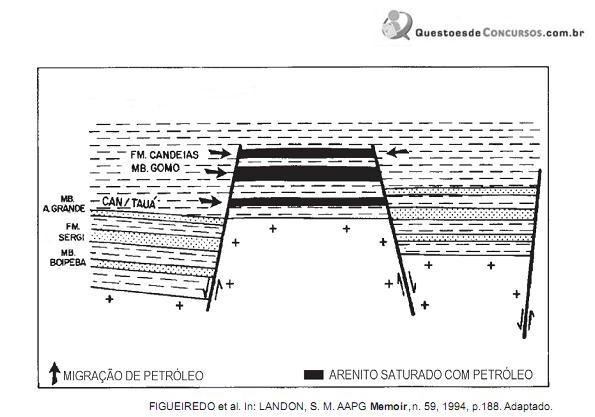 Imagem 013.jpg