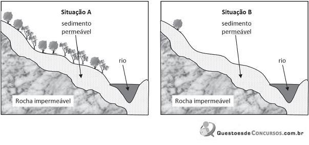 imagem-017.jpg