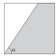 Imagem 008.jpg