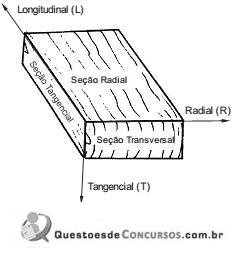 imagem-006.jpg