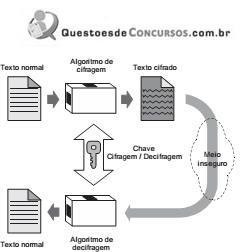 imagem-009.jpg