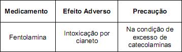 imagem-005.jpg