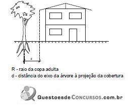 Imagem 020.jpg