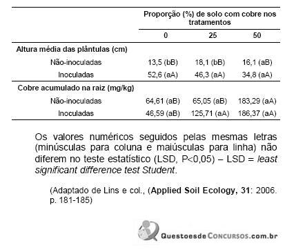 Imagem 017.jpg