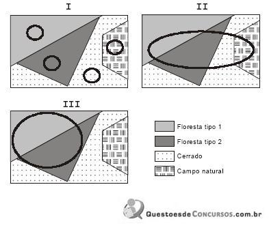 Imagem 015.jpg