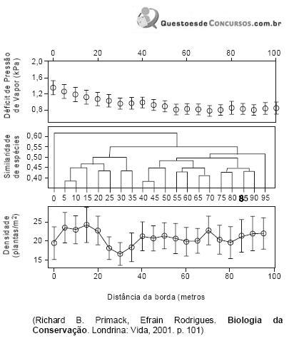 Imagem 012.jpg