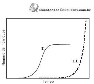 Imagem 010.jpg