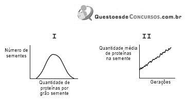 Imagem 003.jpg