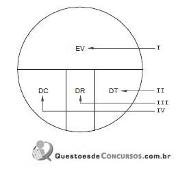 Imagem 003.jpg