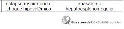 Imagem 013.jpg