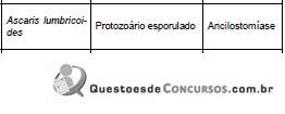 Imagem 002.jpg