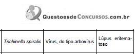 Imagem 005.jpg